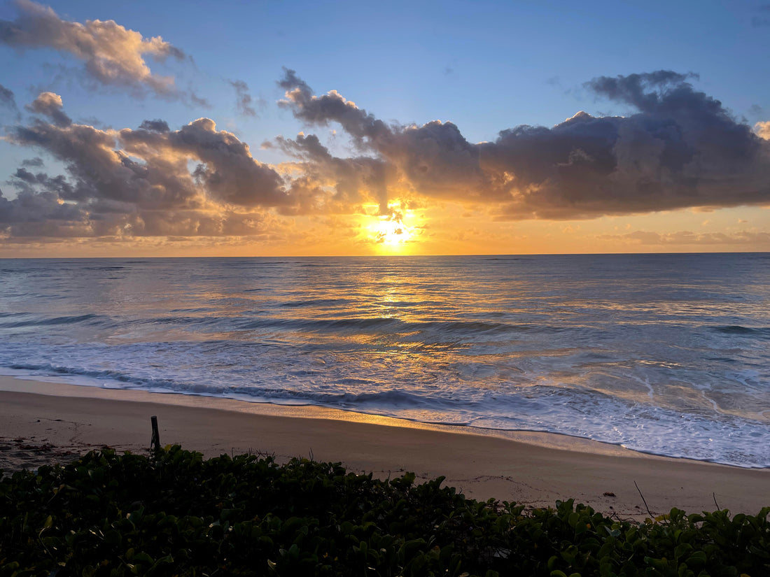 Roots and Rhythms: My Journey Back to Brazil
