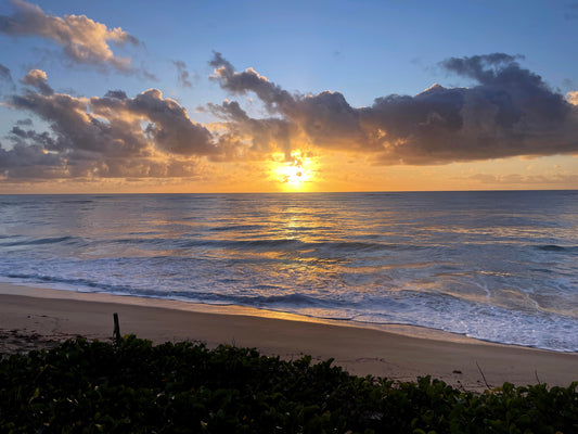 Roots and Rhythms: My Journey Back to Brazil
