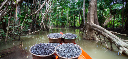 Beyond Sustainability